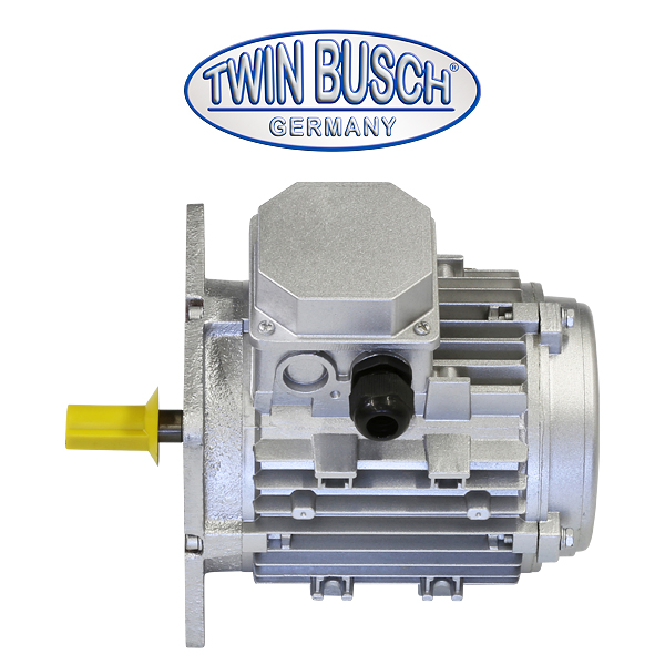 Moteur électrique pour TWF-50T (400 V)